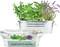 Seeds Margarita & Mojito Windowsill Garden Grow Kit | Herb, Plant, Flower Starter Kit for Kids & Adults | Guaranteed to Grow | Best Indoor Grow Your Own Plant Gardening Gift